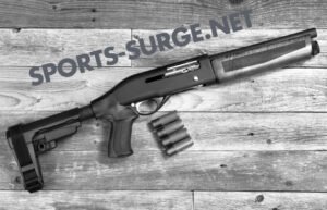 Academy Sports Guns